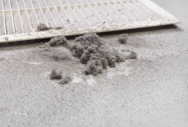 Best Affordable Duct Cleaning Services  in Buenaventura Lakes, FL