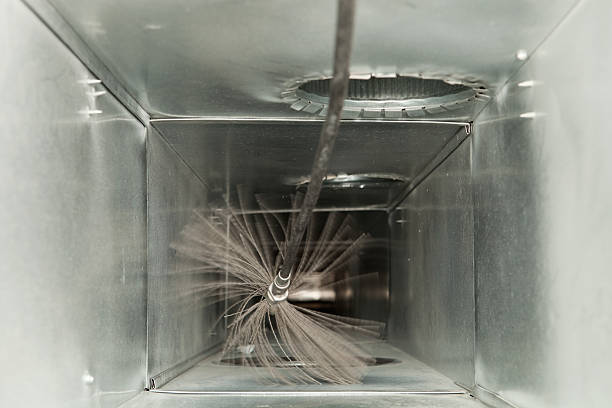 Best Dryer Vent Cleaning Services  in Buenaventura Lakes, FL